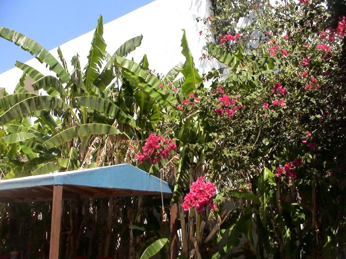 Sea Breeze 2 Apartments Mastichari  Extérieur photo
