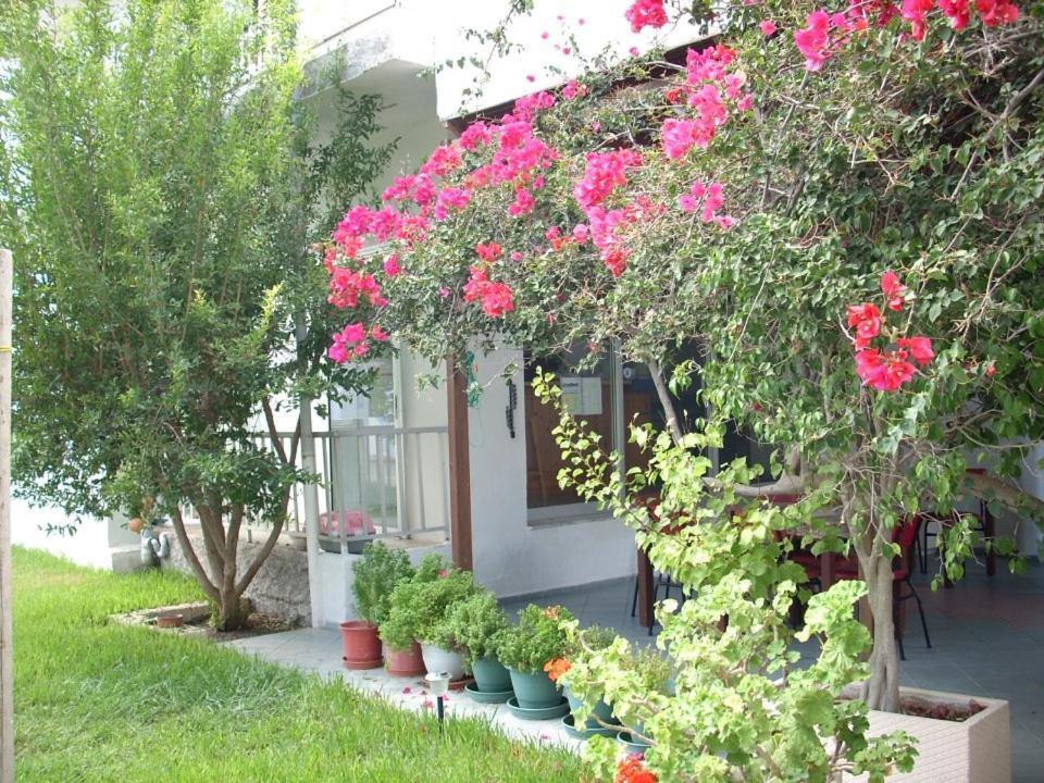 Sea Breeze 2 Apartments Mastichari  Extérieur photo